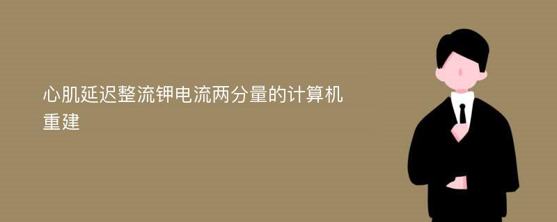 心肌延迟整流钾电流两分量的计算机重建