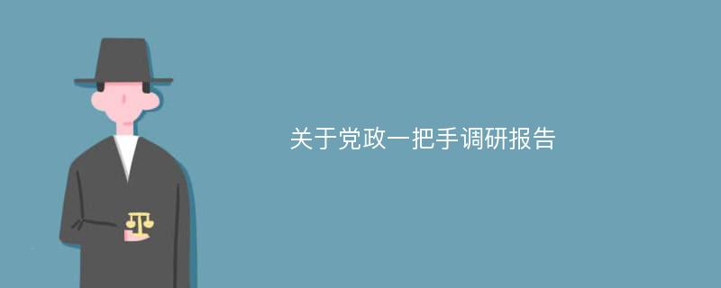 关于党政一把手调研报告