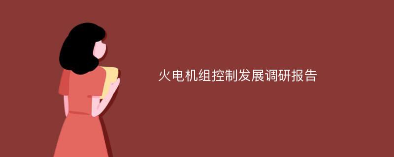 火电机组控制发展调研报告