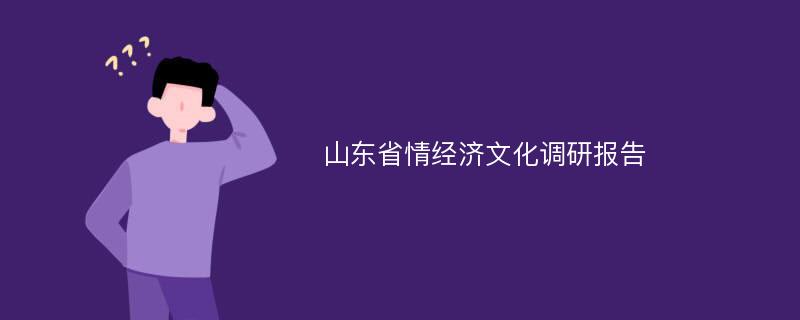 山东省情经济文化调研报告