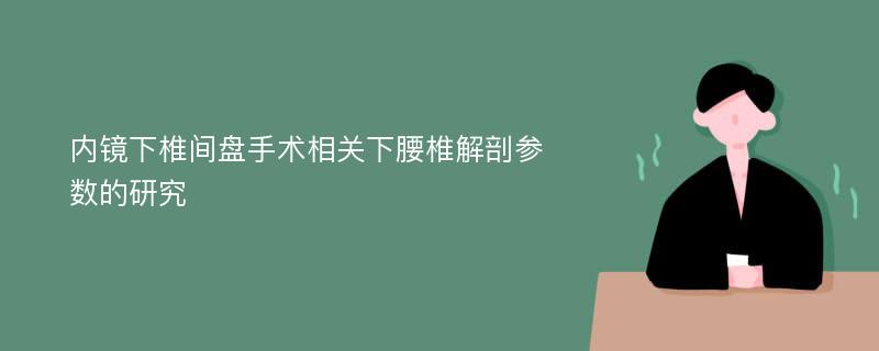 内镜下椎间盘手术相关下腰椎解剖参数的研究