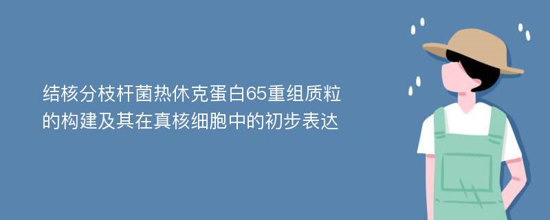 结核分枝杆菌热休克蛋白65重组质粒的构建及其在真核细胞中的初步表达