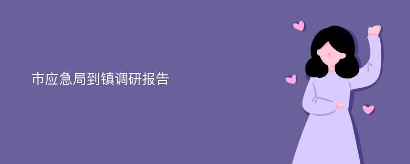 市应急局到镇调研报告