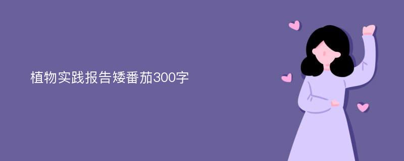 植物实践报告矮番茄300字