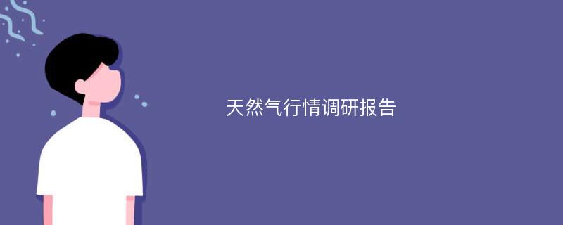 天然气行情调研报告