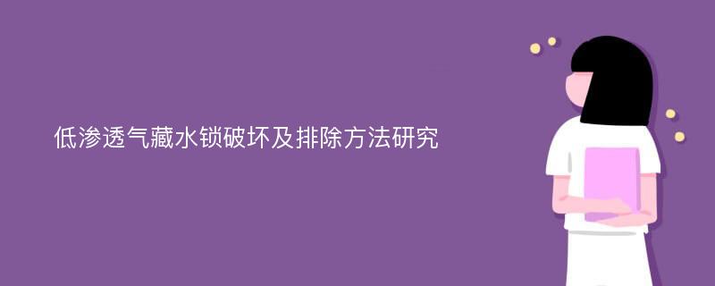 低渗透气藏水锁破坏及排除方法研究